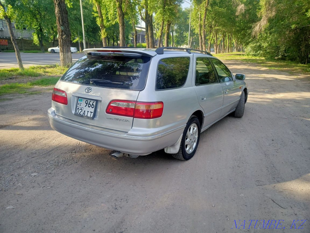    year Almaty - photo 4