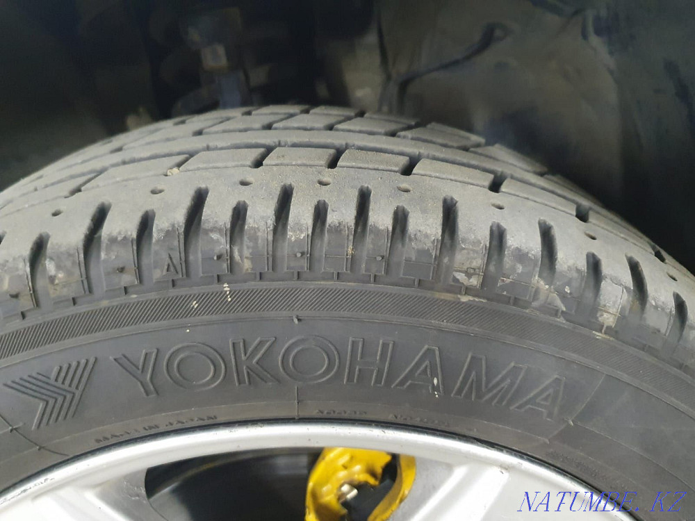    year Petropavlovsk - photo 8