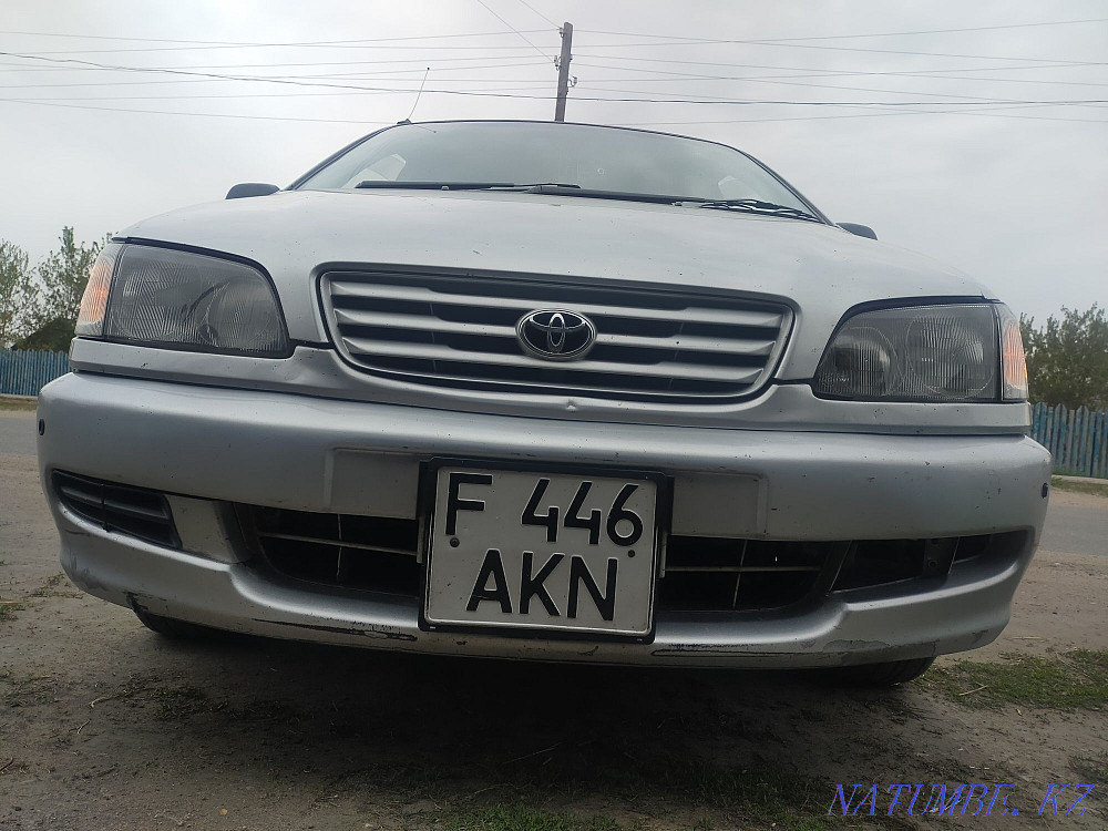    year Ridder - photo 3