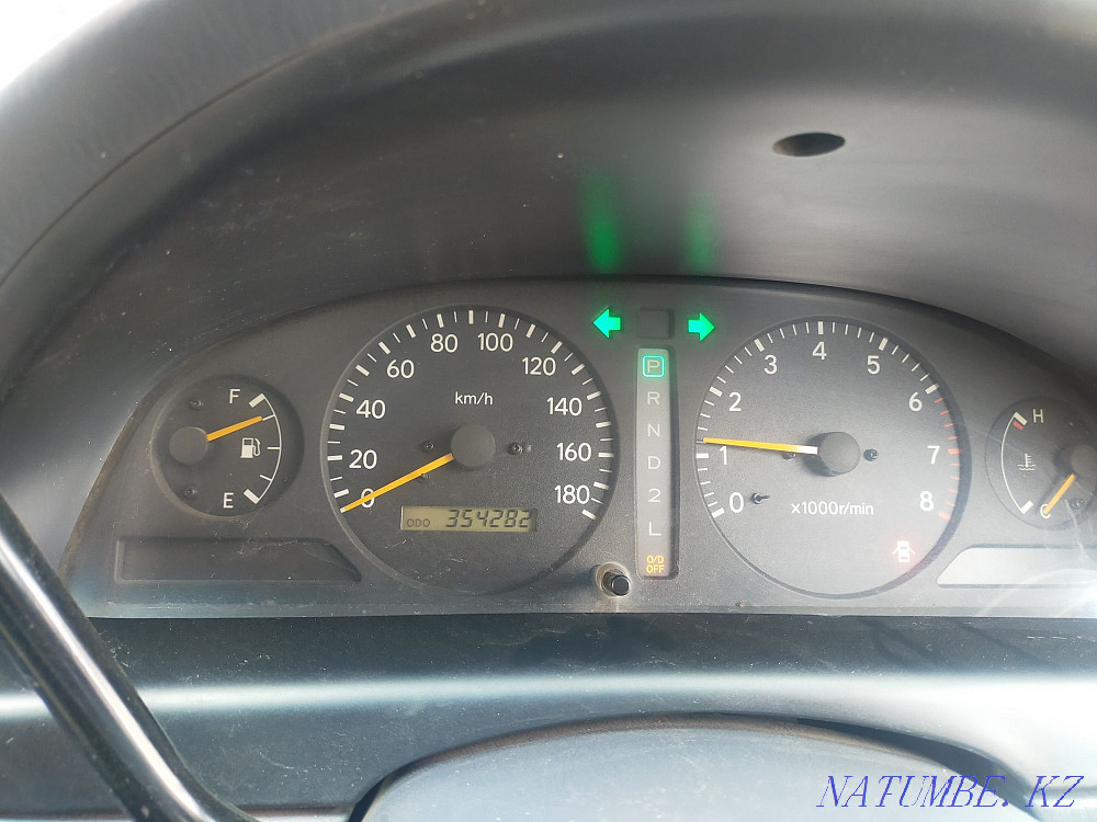    year Ridder - photo 6