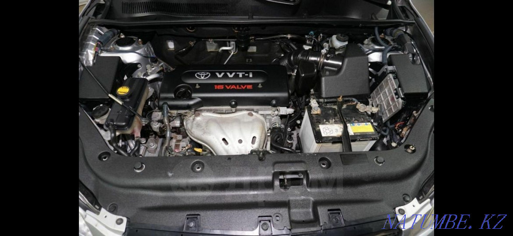    year Petropavlovsk - photo 3