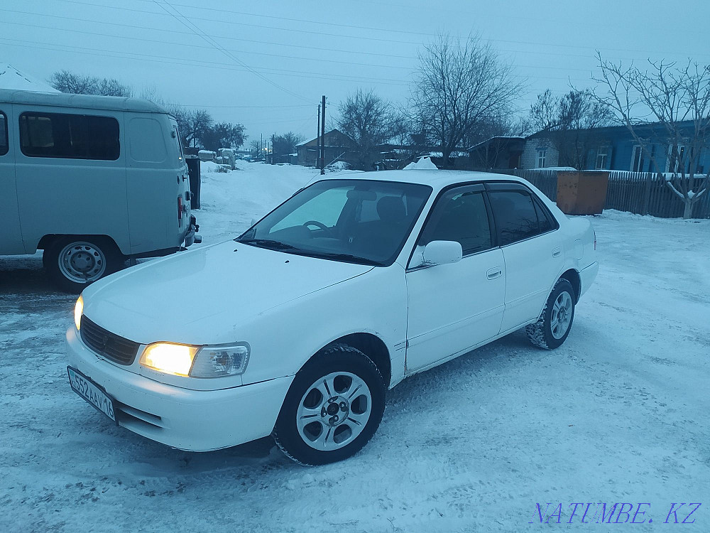    года Семей - изображение 1