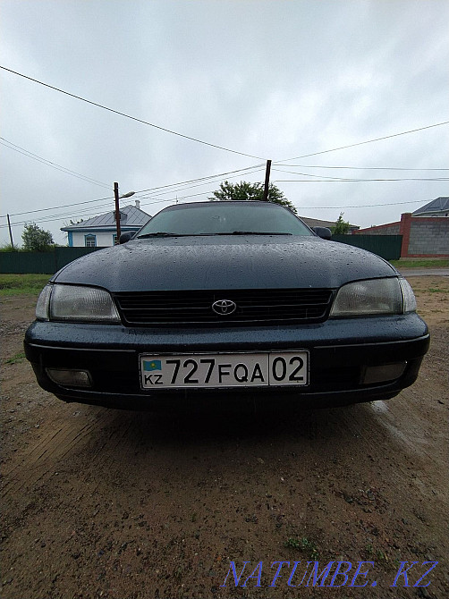    year Узынагаш - photo 1