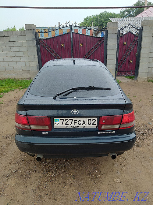    year Узынагаш - photo 5