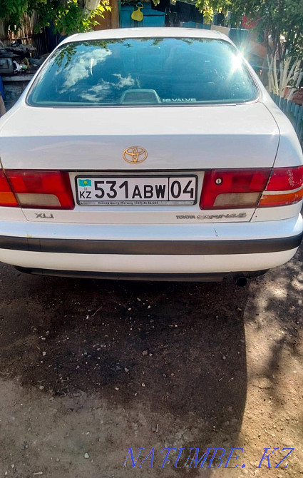    year Нура - photo 3