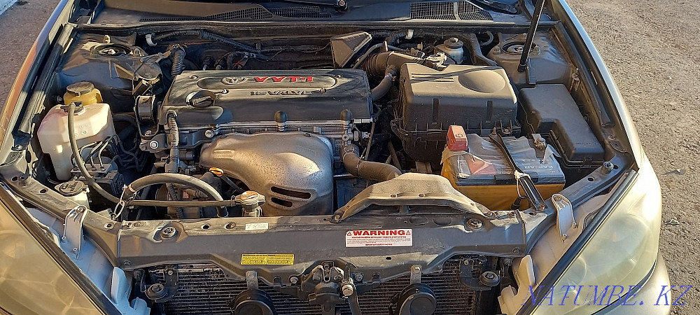    year Ekibastuz - photo 5