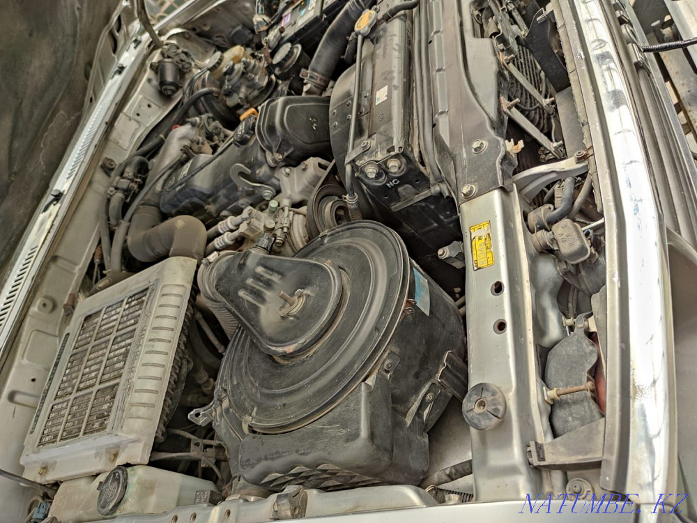    year Алгабас - photo 7