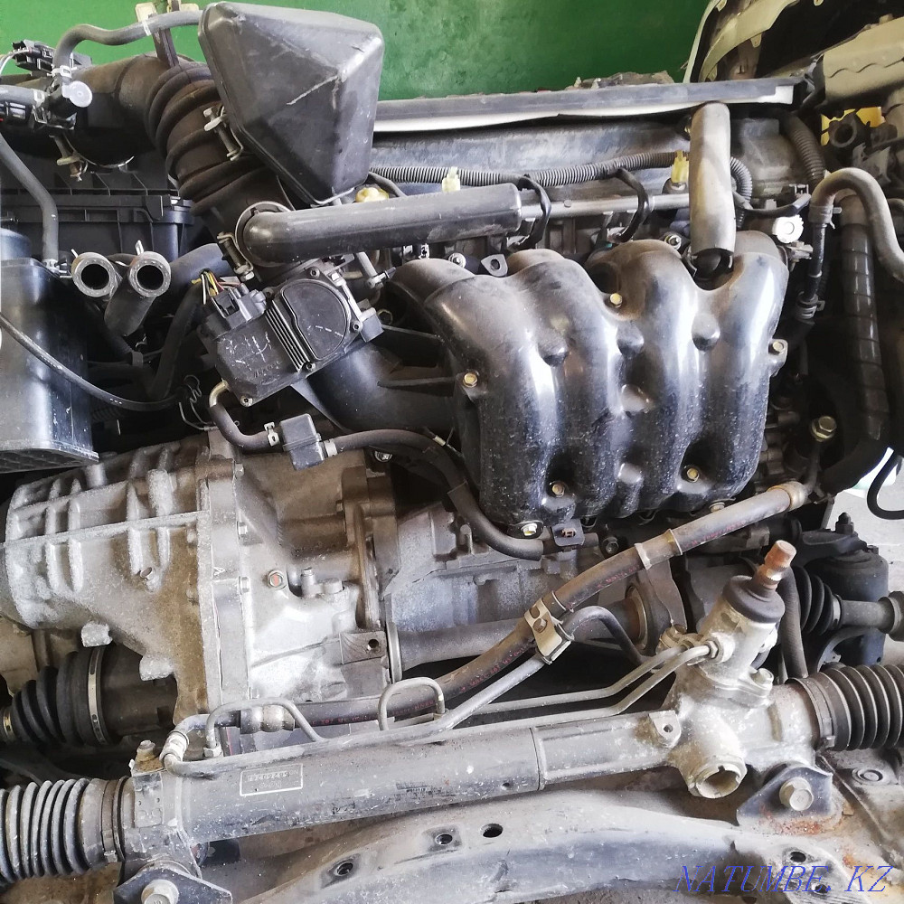    year Saryaghash - photo 9