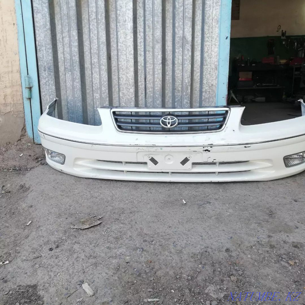    year Saryaghash - photo 4