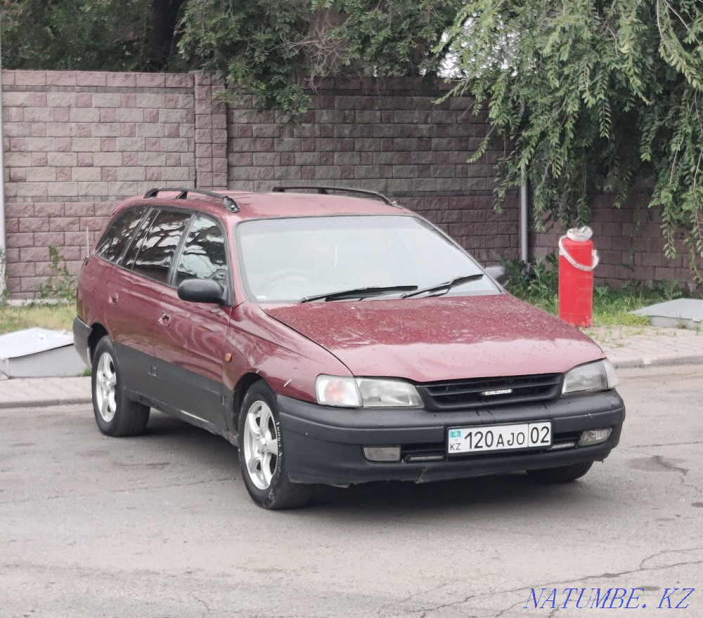    year Almaty - photo 3