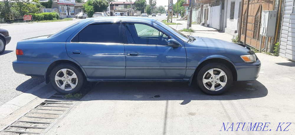    year Болтирик шешен - photo 2