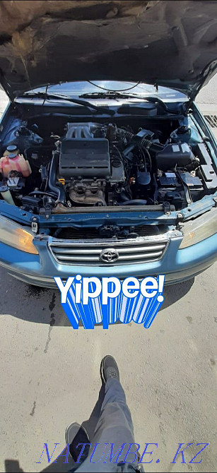    year Болтирик шешен - photo 6