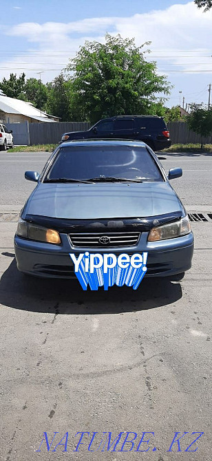    year Болтирик шешен - photo 3