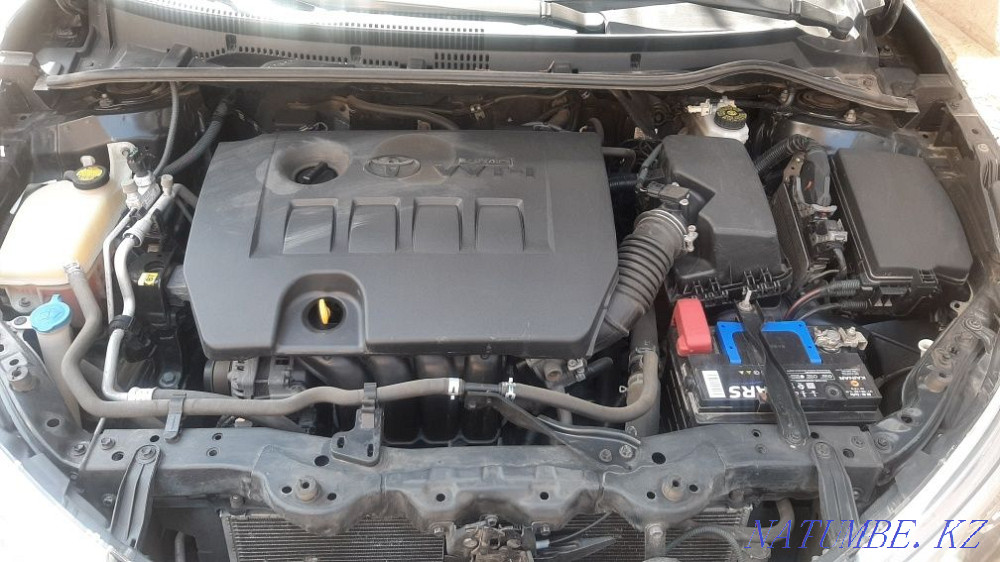    year Almaty - photo 10