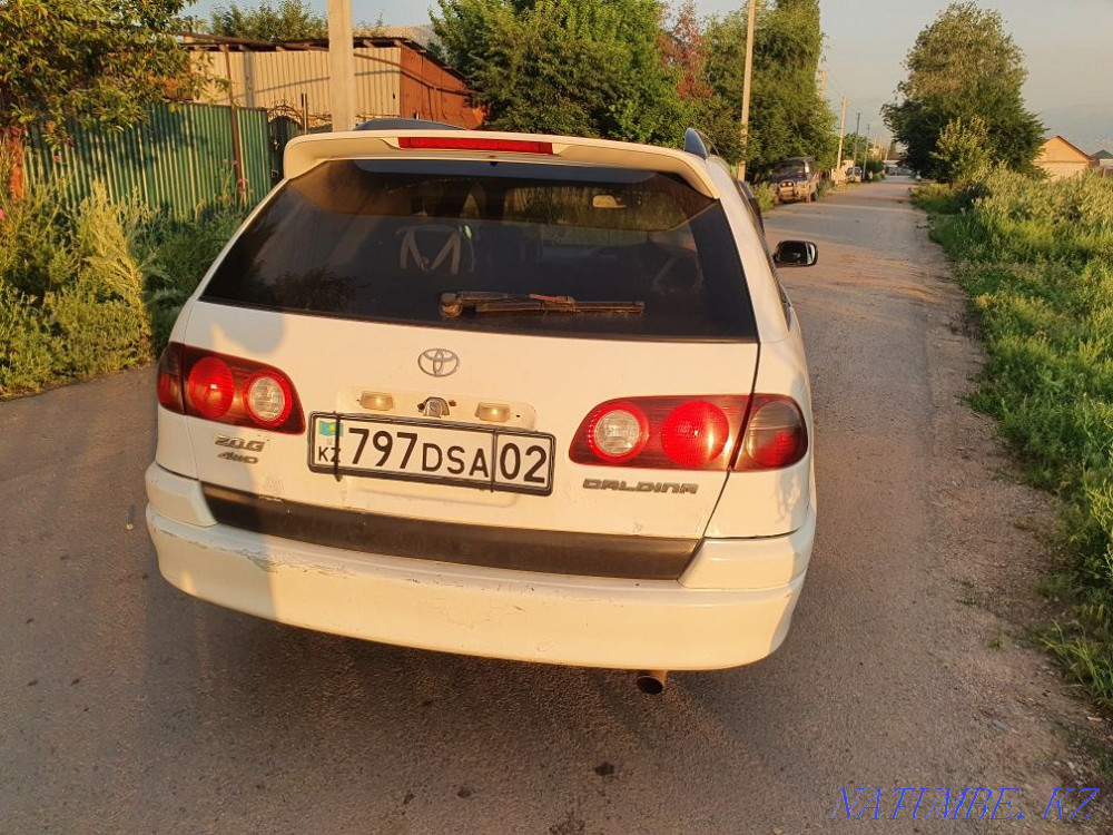    года Гульдала - изображение 4