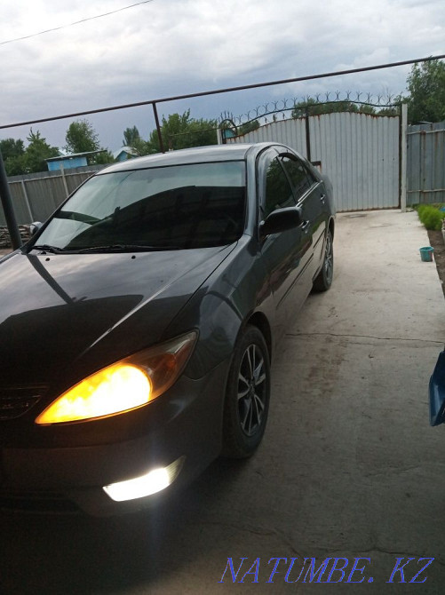    year Узынагаш - photo 1