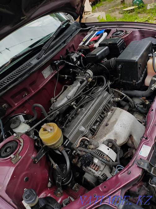    year Almaty - photo 6