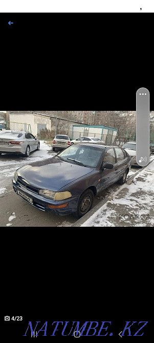    года Муткенова - изображение 6