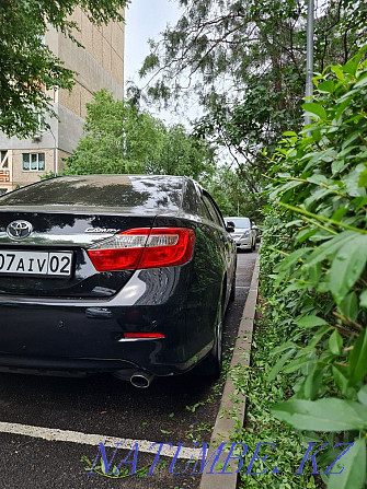    year Almaty - photo 4