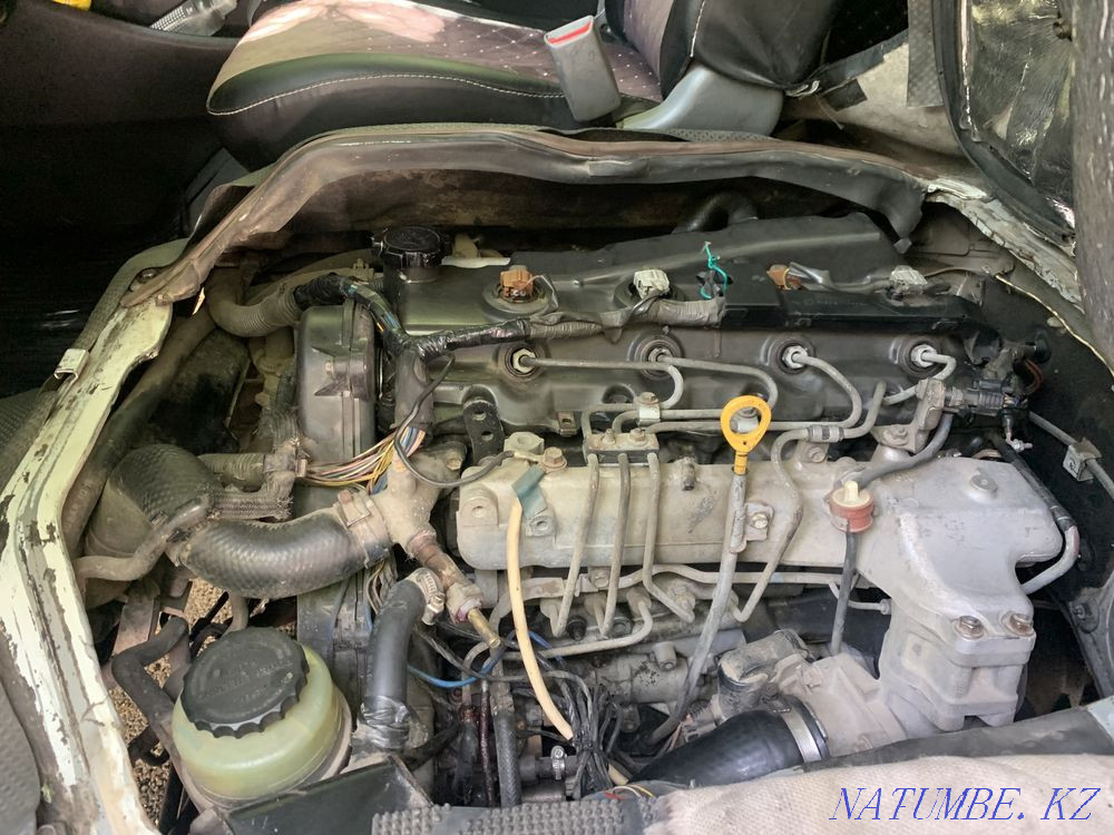    year Almaty - photo 6