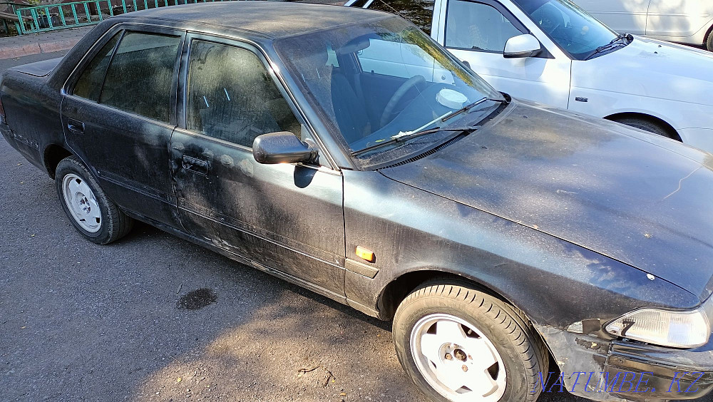    года Сарань - изображение 2