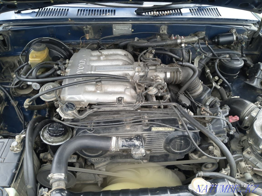    year Urochishche Talgarbaytuma - photo 7