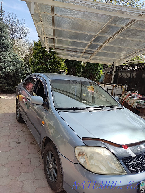    года Кыргауылды - изображение 2