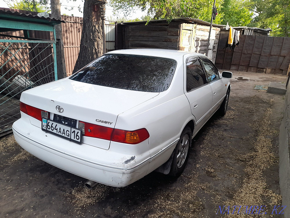    year Semey - photo 5