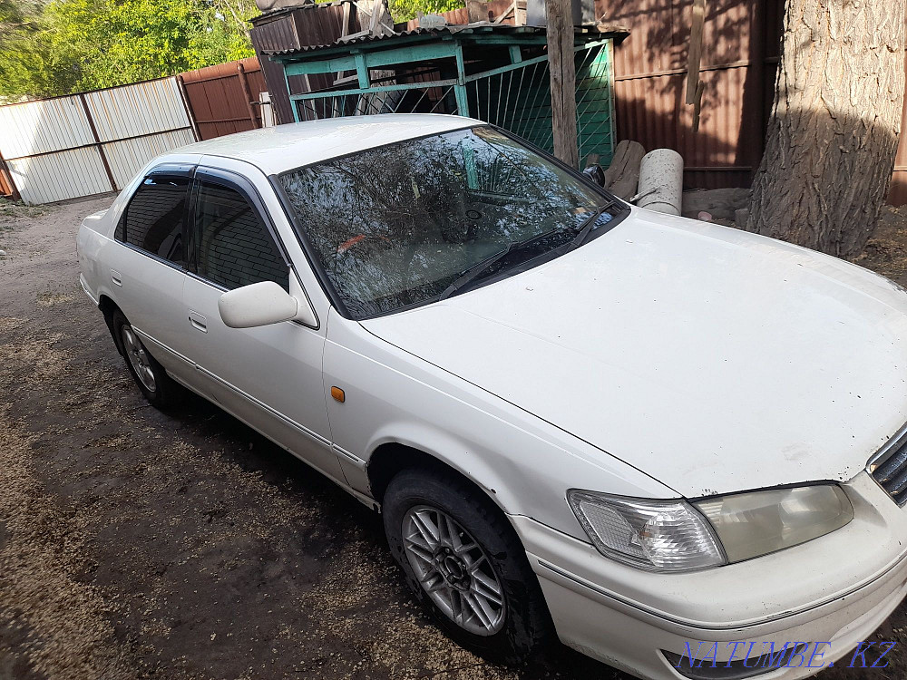    year Semey - photo 6