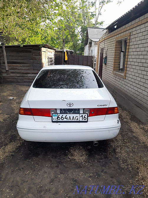    year Semey - photo 2