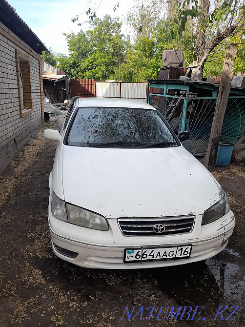    year Semey - photo 1