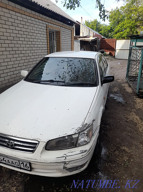    year Semey - photo 4