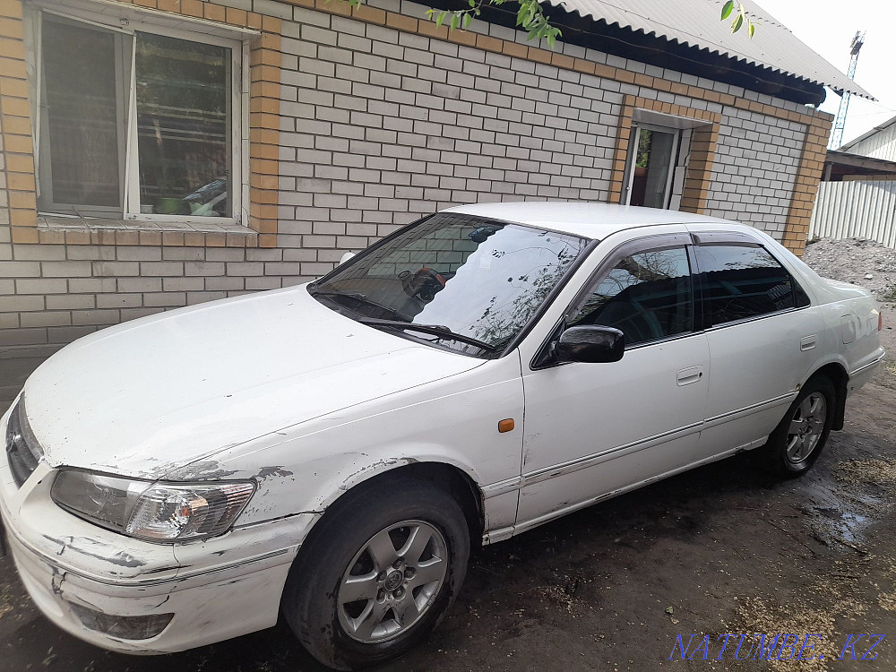    year Semey - photo 3