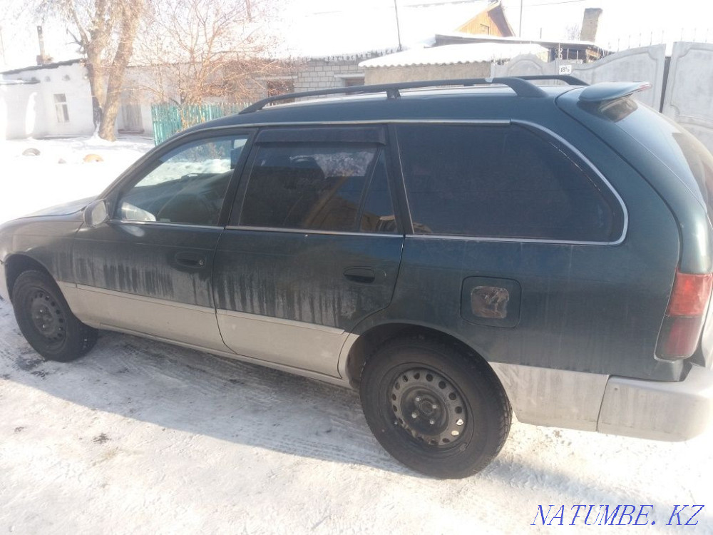    года Семей - изображение 1