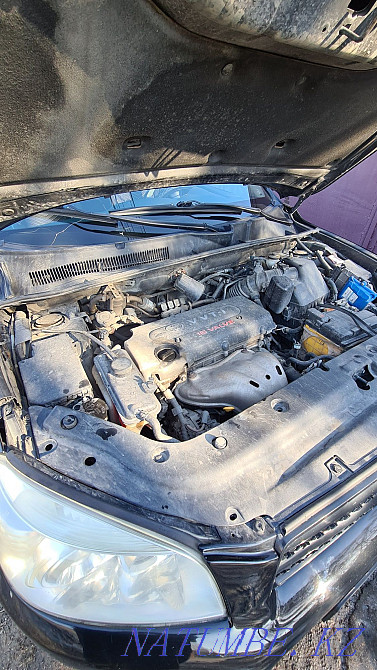    year Shemonaikha - photo 6