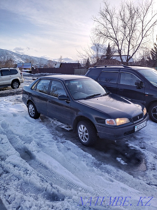    year Ridder - photo 3