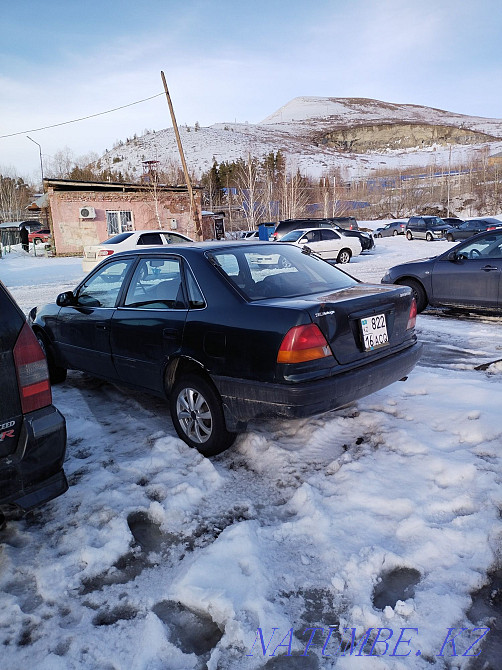    year Ridder - photo 4