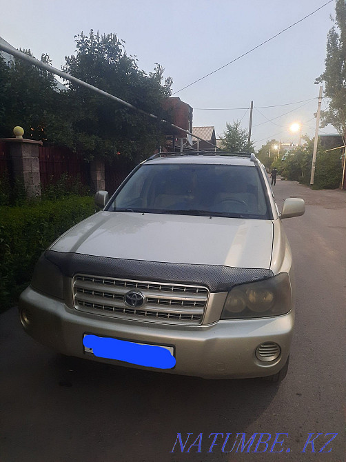    year Алгабас - photo 1