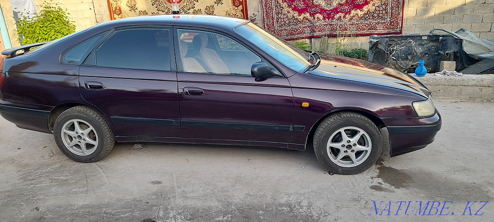    year Кайтпас - photo 7