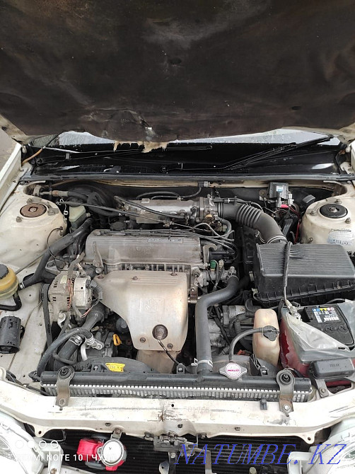    года Отеген батыра - изображение 7