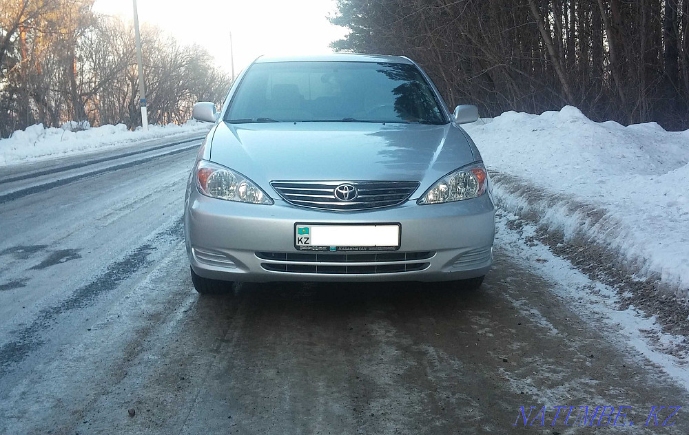    year Petropavlovsk - photo 3