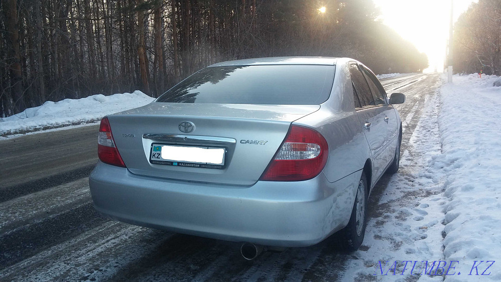    year Petropavlovsk - photo 2