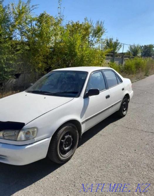    года  - изображение 1