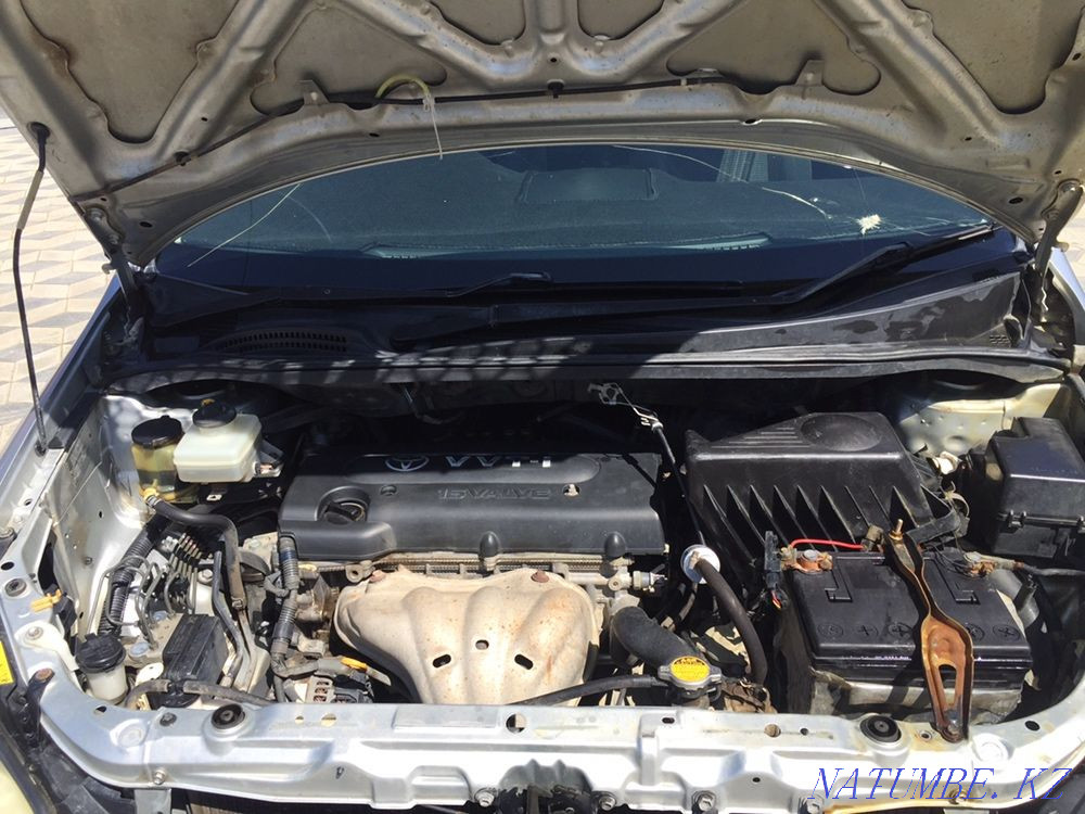    year Aqsay - photo 7