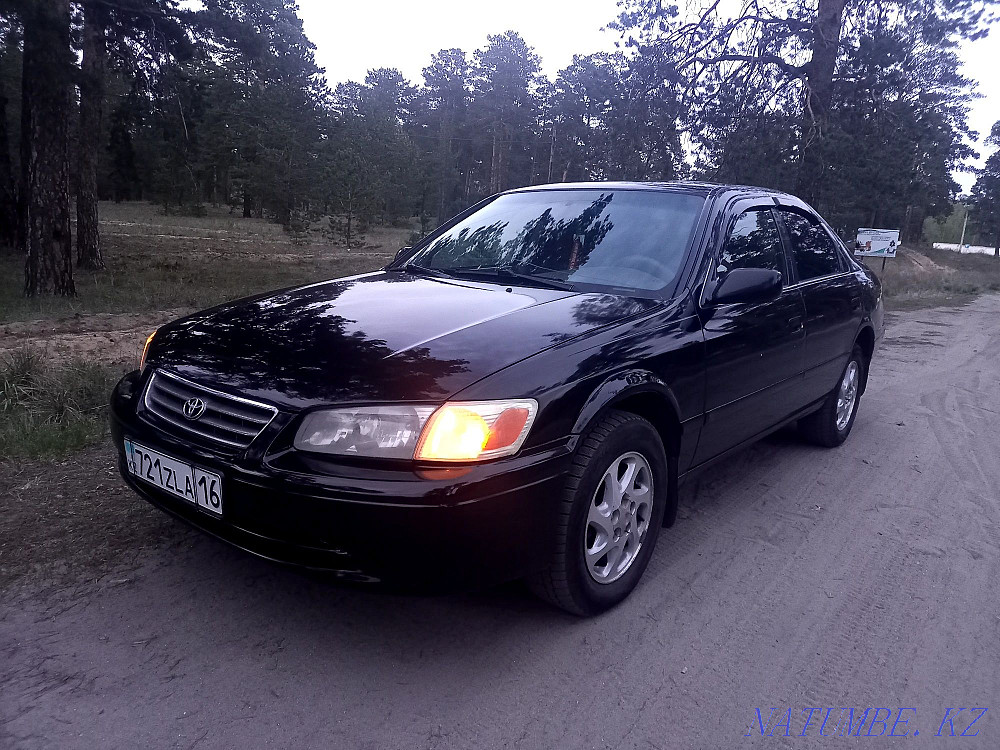    year Semey - photo 2