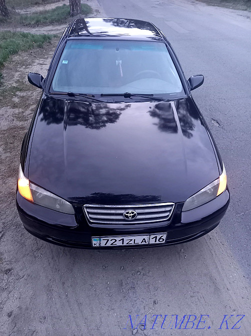    year Semey - photo 6