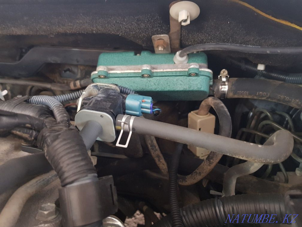    year Astana - photo 5