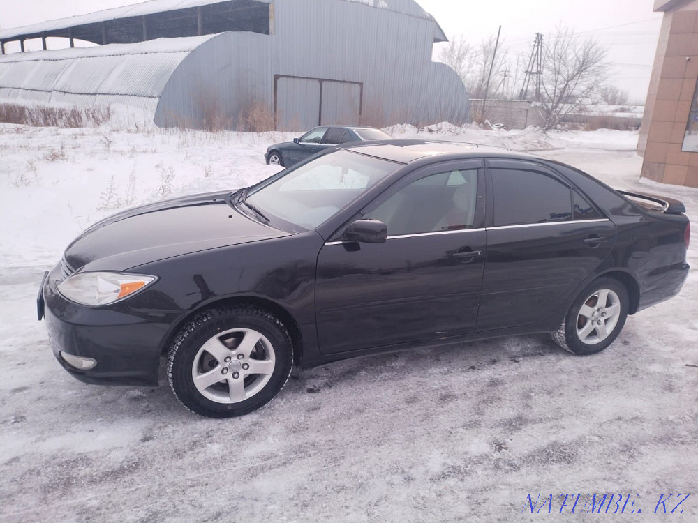    года Семей - изображение 7