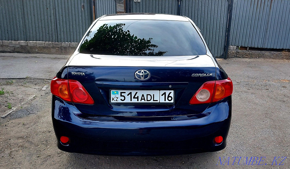    year Semey - photo 5