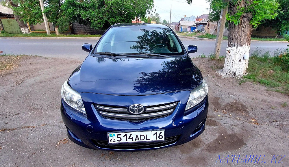    year Semey - photo 2